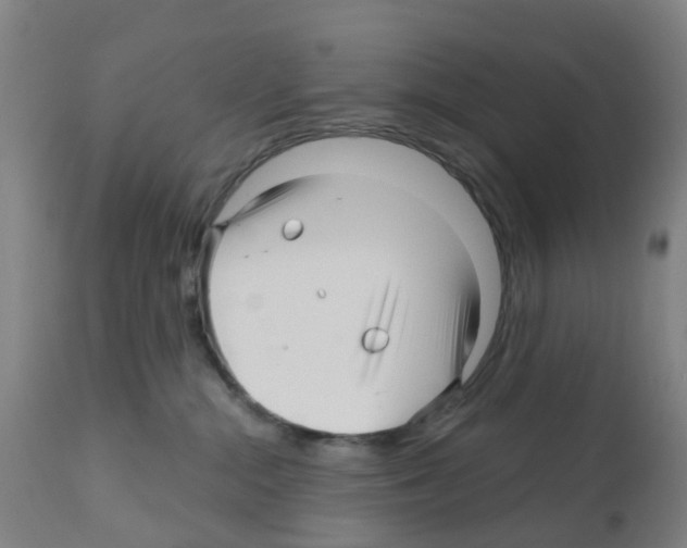 X0000112390284200909241246