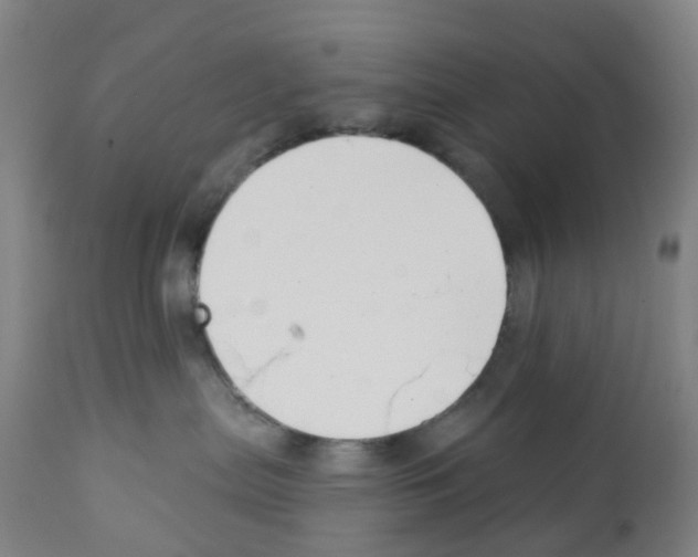 X0000112390287200909241246