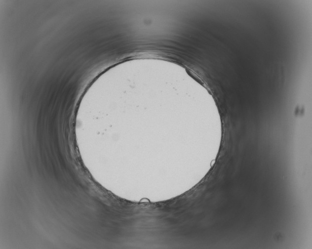 X0000112390289200909241245