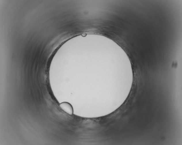 X0000112390290200909241245