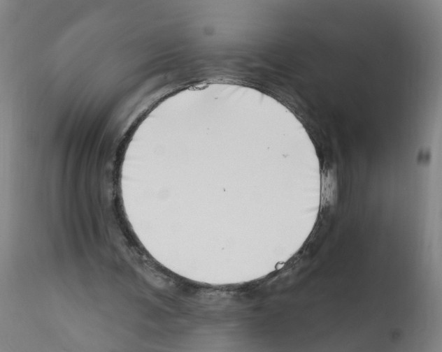 X0000112390291200909241245