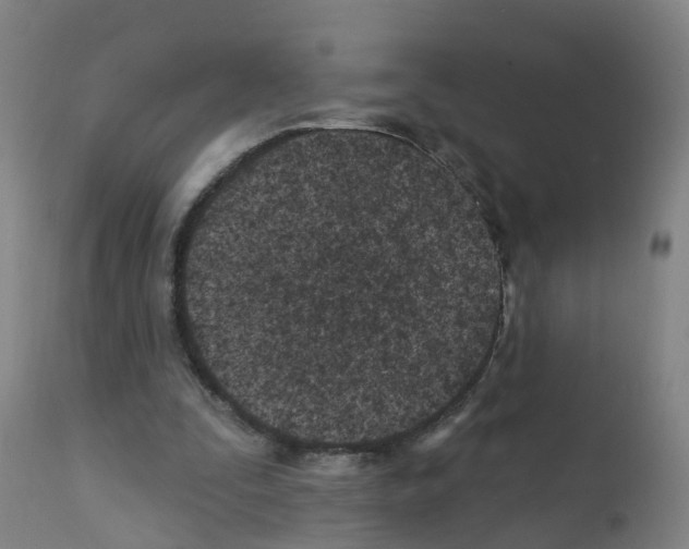 X0000112390295200909241245