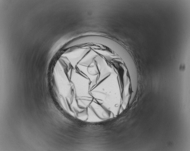 X0000112390296200909241245