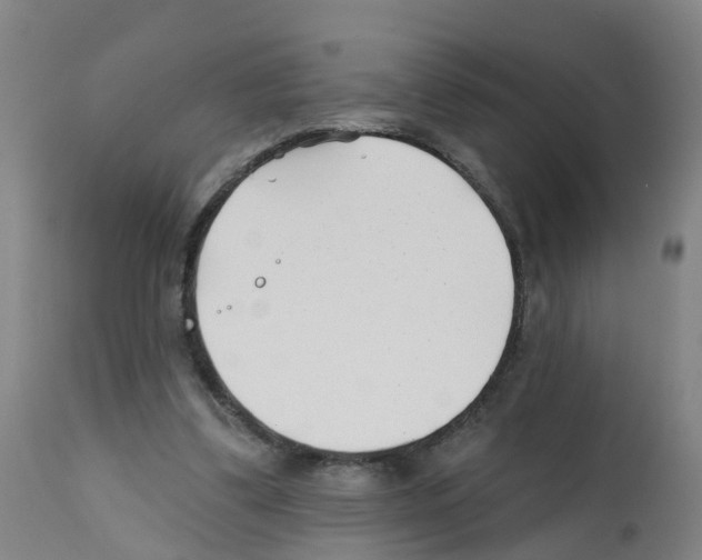 X0000112390299200909241245