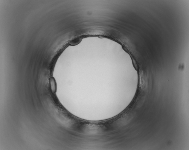 X0000112390300200909241245