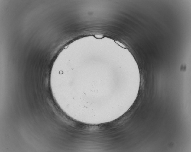 X0000112390301200909241245
