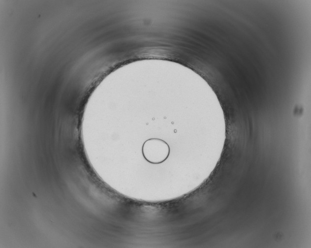 X0000112390302200909241245