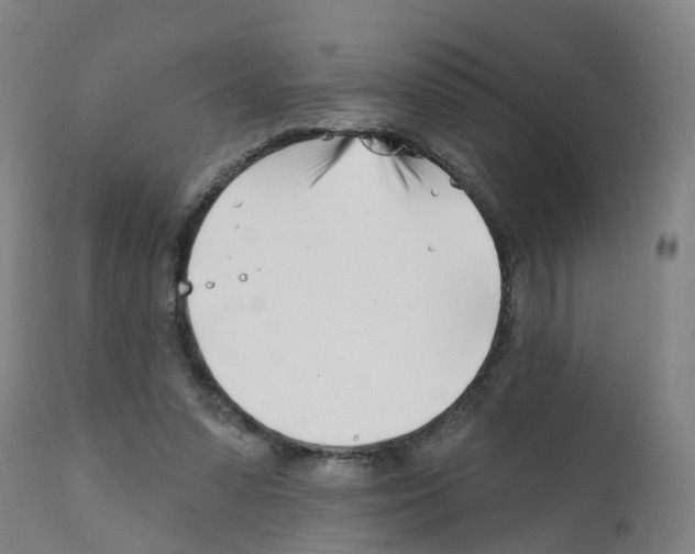 X0000112390303200909241245