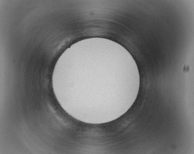 X0000112390304200909241245