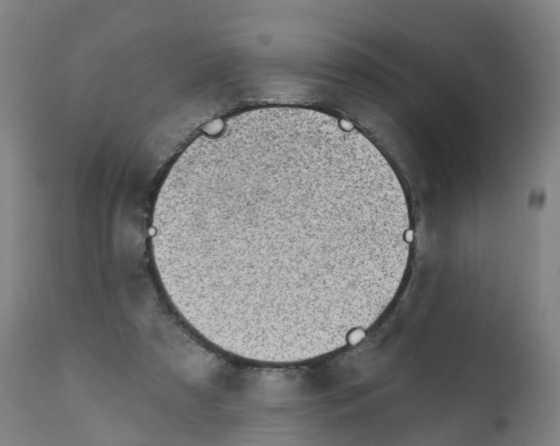X0000112390305200909241245