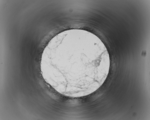 X0000112390307200909241245