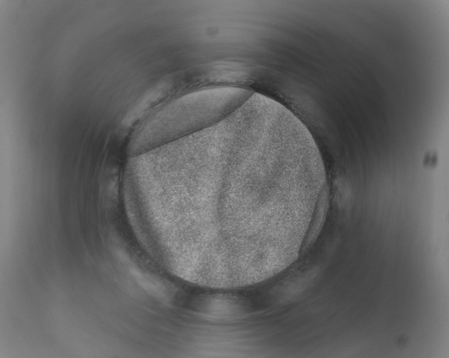 X0000112390308200909241245