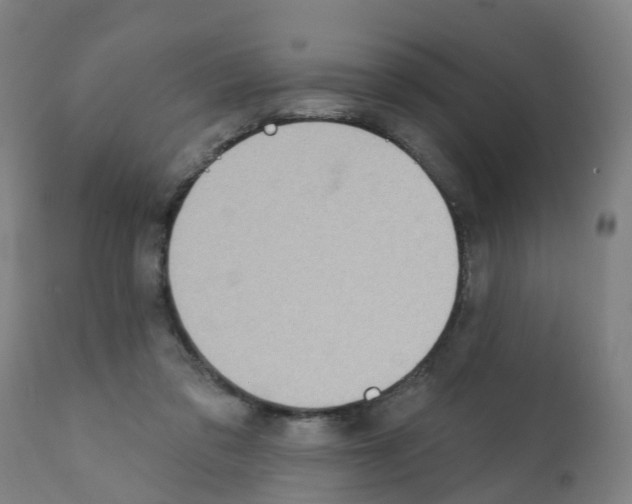 X0000112390309200909241245
