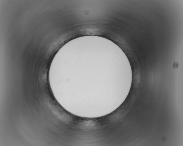 X0000112390310200909241245
