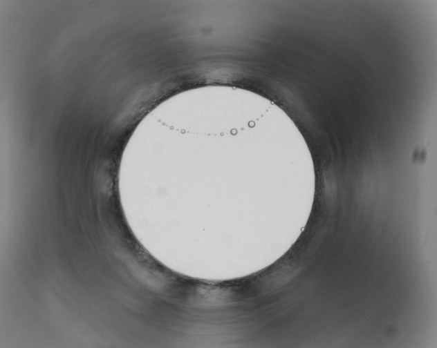 X0000112390311200909241245
