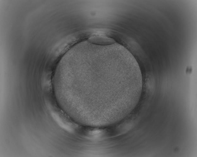 X0000112390312200909241245