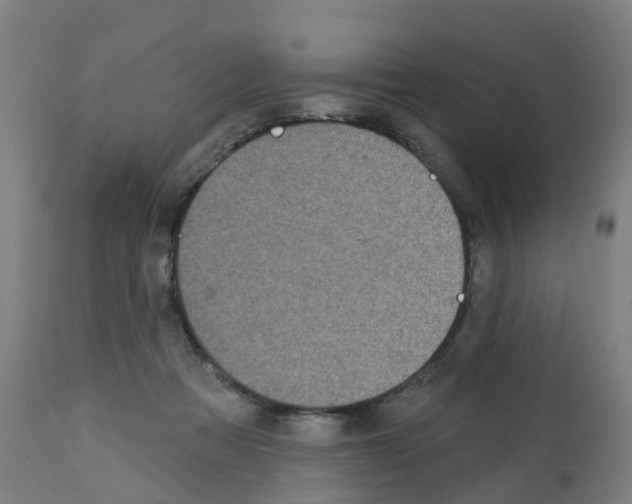 X0000112390313200909241245