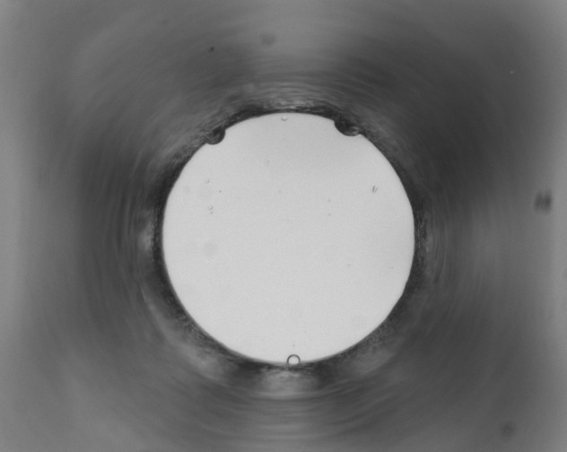 X0000112390315200909241245