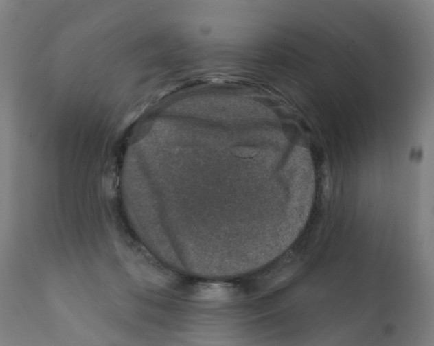 X0000112390316200909241245
