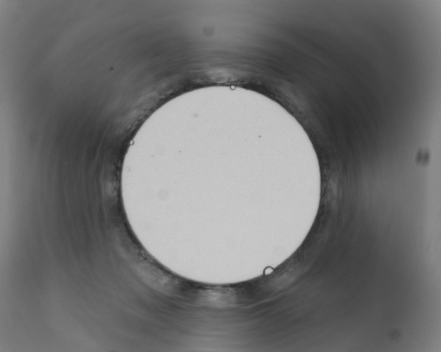 X0000112390317200909241245