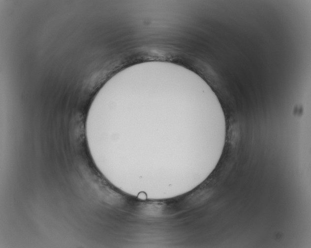 X0000112390318200909241245