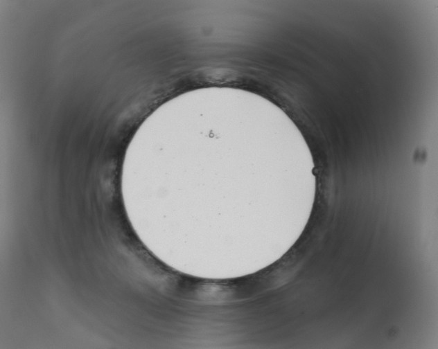 X0000112390319200909241245