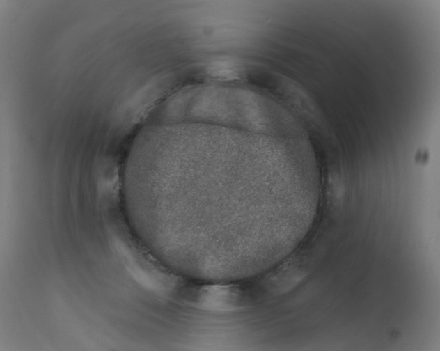X0000112390320200909241245
