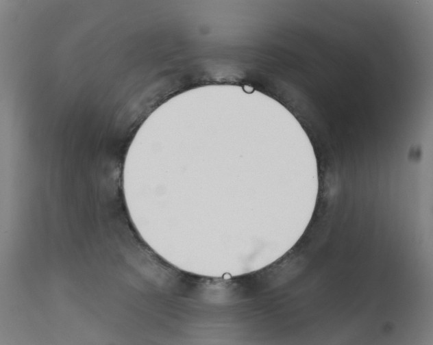 X0000112390321200909241245