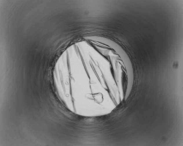 X0000112390325200909241245