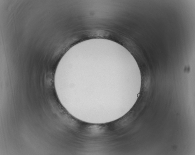 X0000112390326200909241245