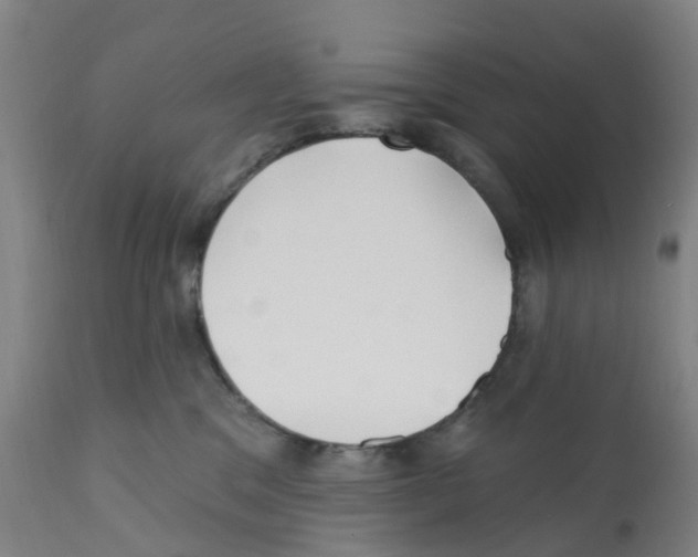 X0000112390329200909241245