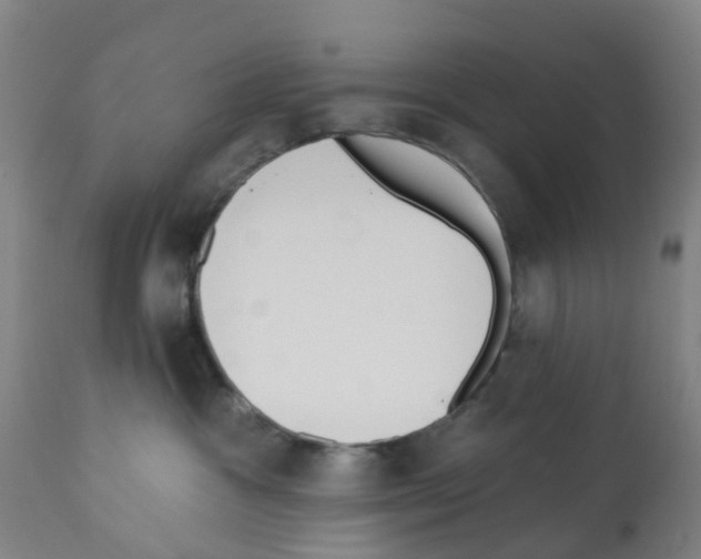 X0000112390333200909241245