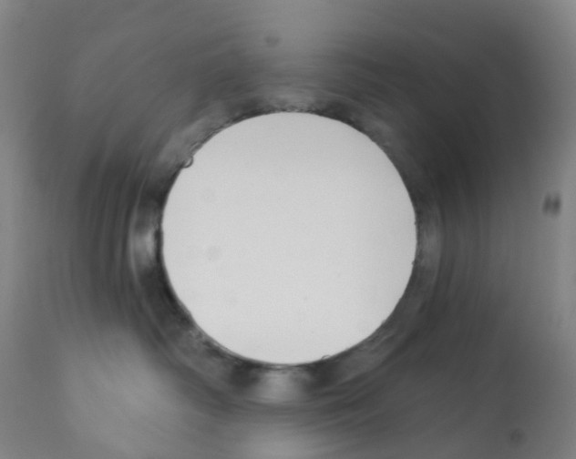 X0000112390334200909241245
