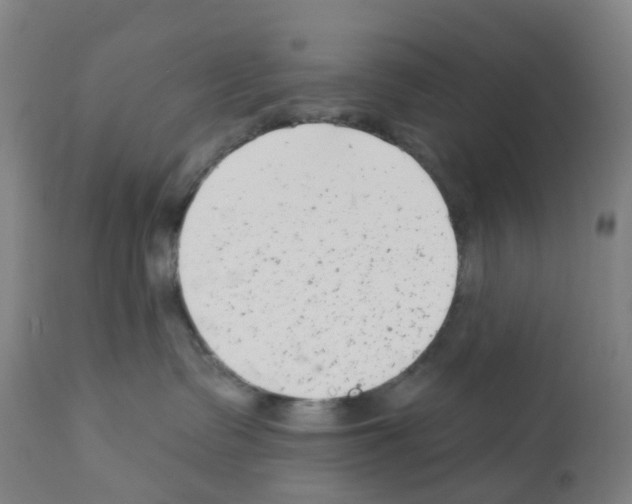 X0000112390335200909241245