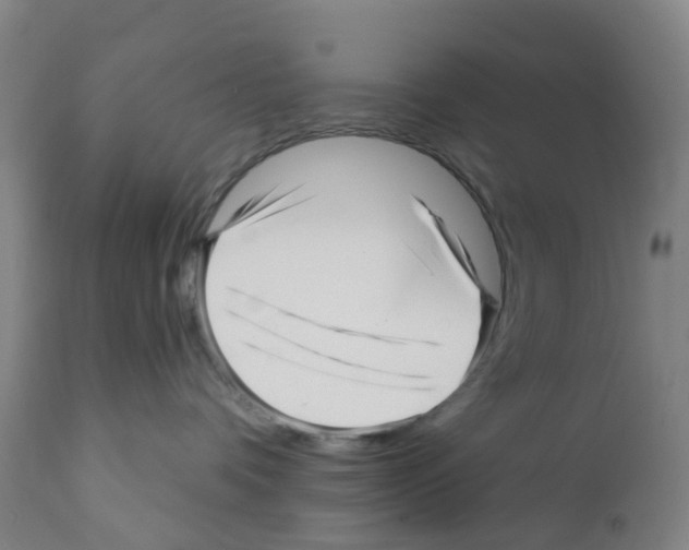 X0000112390336200909241245