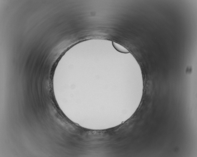 X0000112390338200909241244