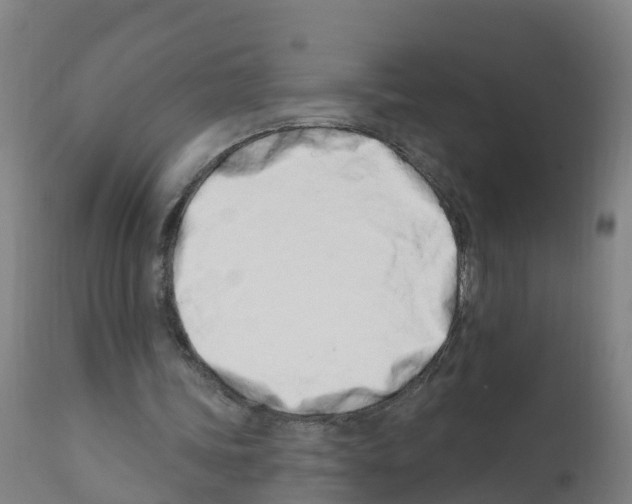 X0000112390339200909241244