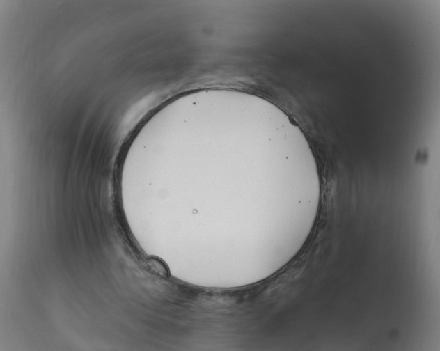 X0000112390340200909241244