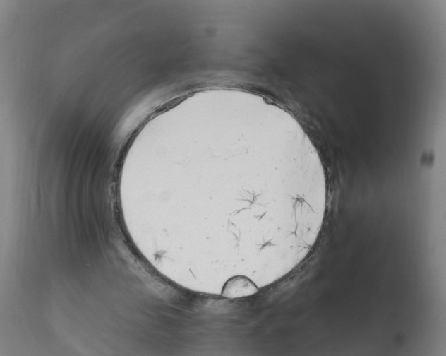 X0000112390341200909241244