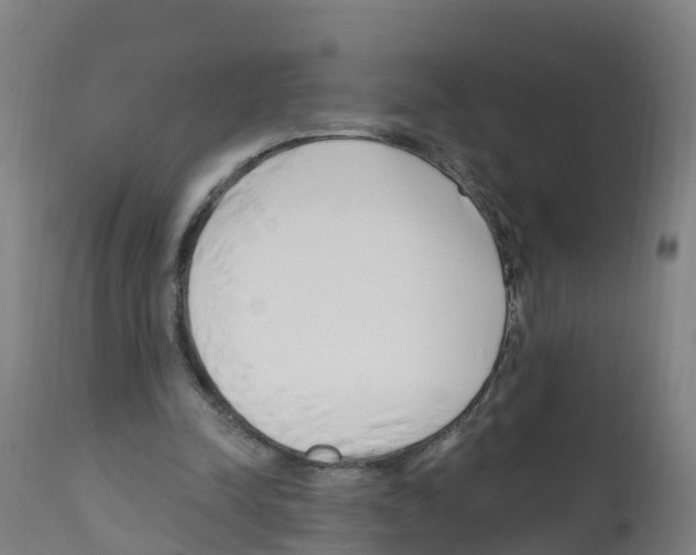 X0000112390342200909241244