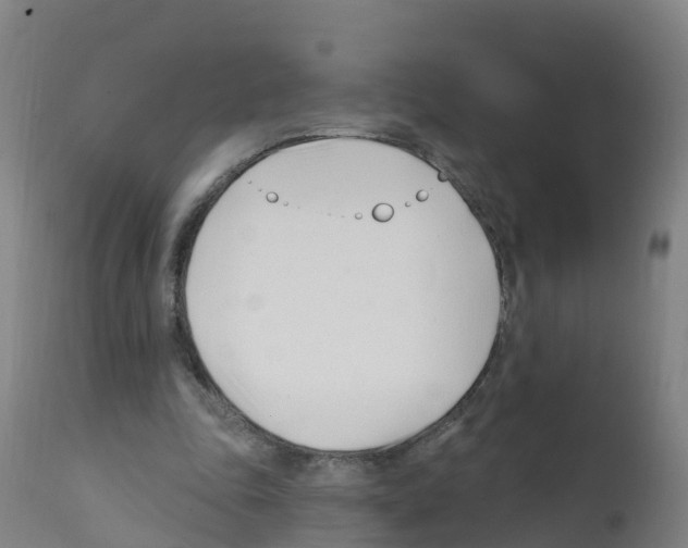 X0000112390343200909241244