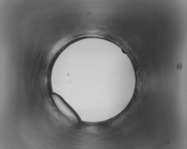 X0000112390344200909241244
