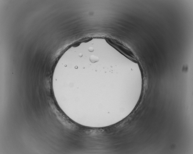 X0000112390345200909241244