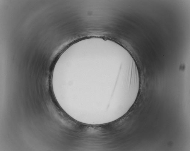 X0000112390346200909241244