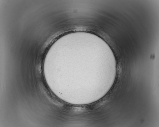 X0000112390347200909241244