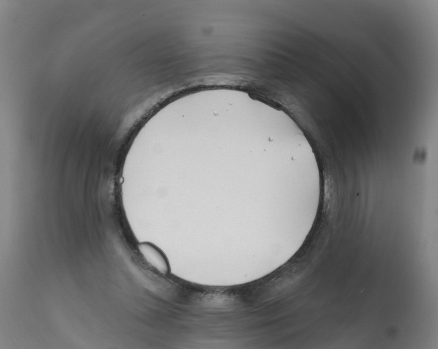 X0000112390348200909241244