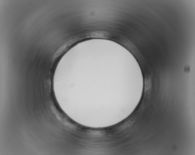 X0000112390349200909241244