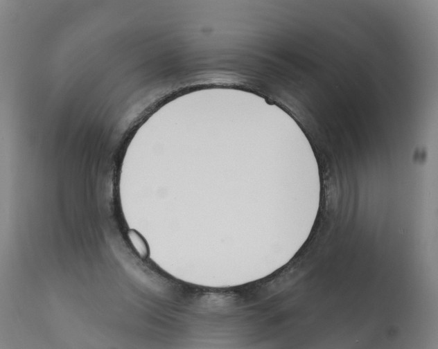 X0000112390350200909241244