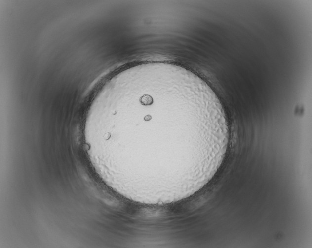 X0000112390351200909241244