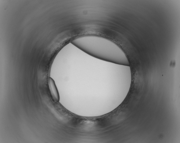 X0000112390352200909241244